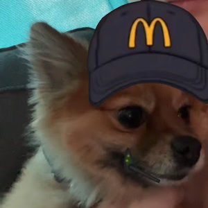 Meet your Posher, Justine